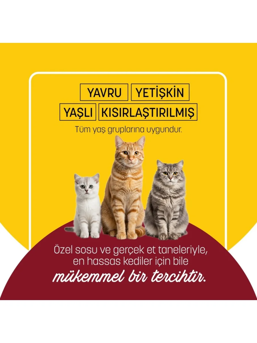 Petzzcats Tavuk & Kalamar Konserve Kedi Maması 1 Adet 70 gr