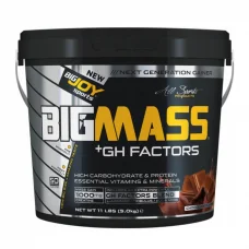 Big Mass +GH Factors Çilek 5000 Gr