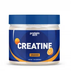 Creatine Aromalı Portakal 300 gr