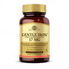 Gentle Iron 17 Mg 90 Kapsül