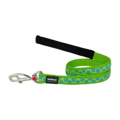 Lime Üzerine Turkuaz Yıldızlı Köpek Uzatma Tasması Large 25 Mm 1,2 Mt