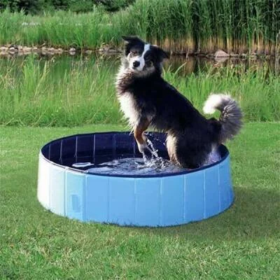 Köpek Oyun Havuzu Çap 80 Cm Derinlik 20 Cm