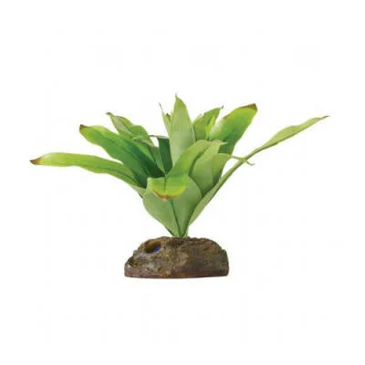 Küçük İpek Neoregelia Plastik Teraryum Bitkisi