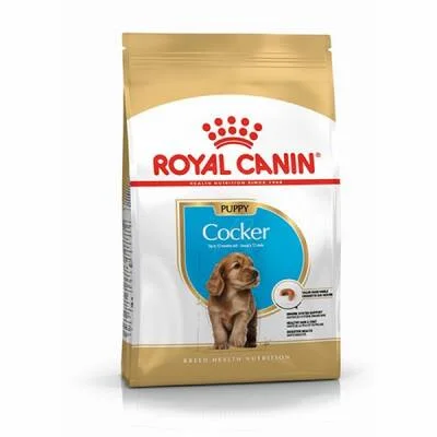 Cocker Spaniel Puppy Yavru Köpek Maması 3 Kg