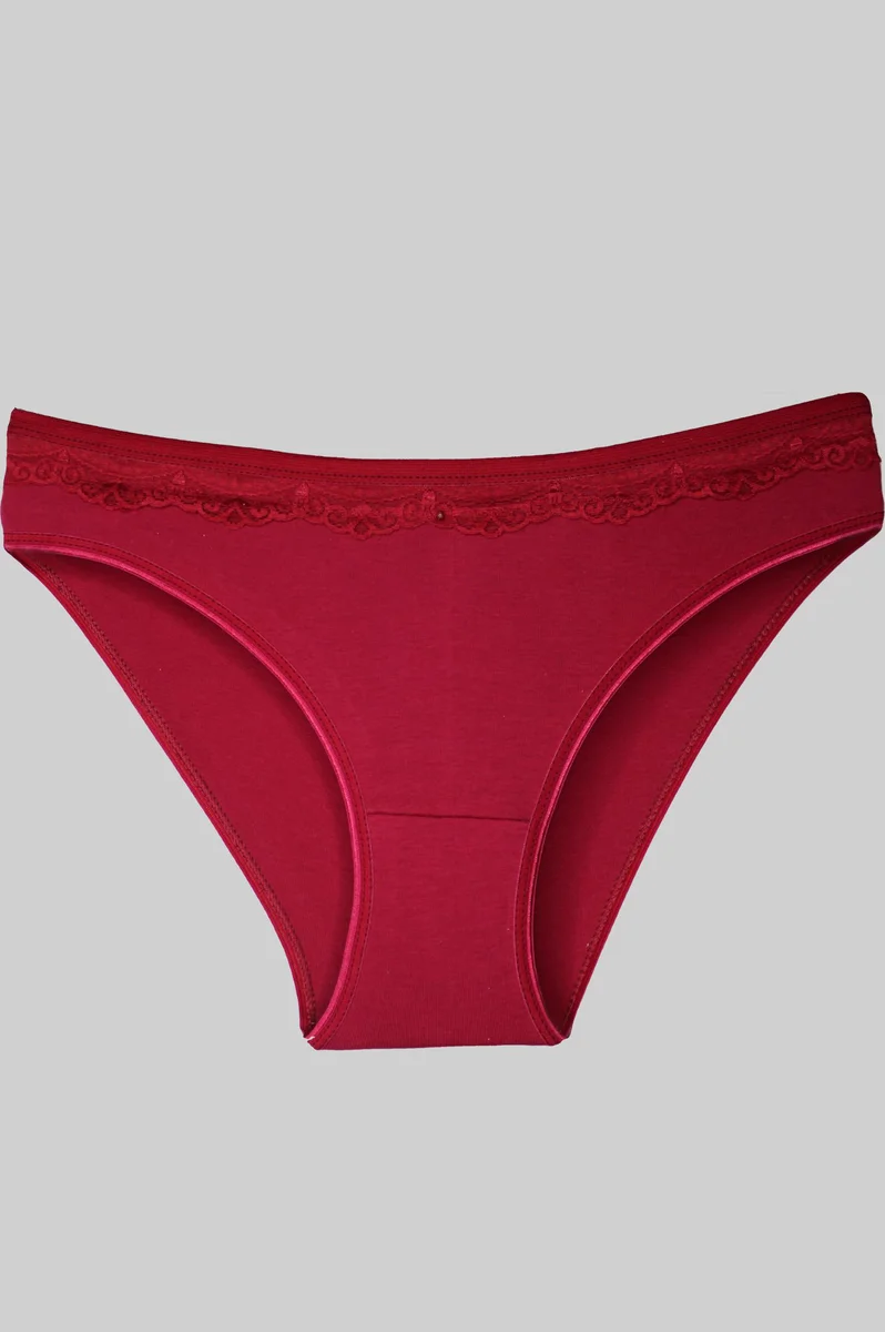 Gümüş Kırmızı Üstü Dantelli Slip Bayan Külot BRF621