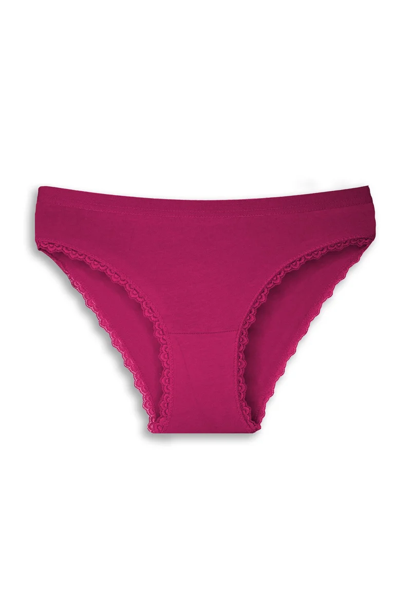 Gümüş Fuşya Kenarları Dantelli Slip Bayan Külot BRF694
