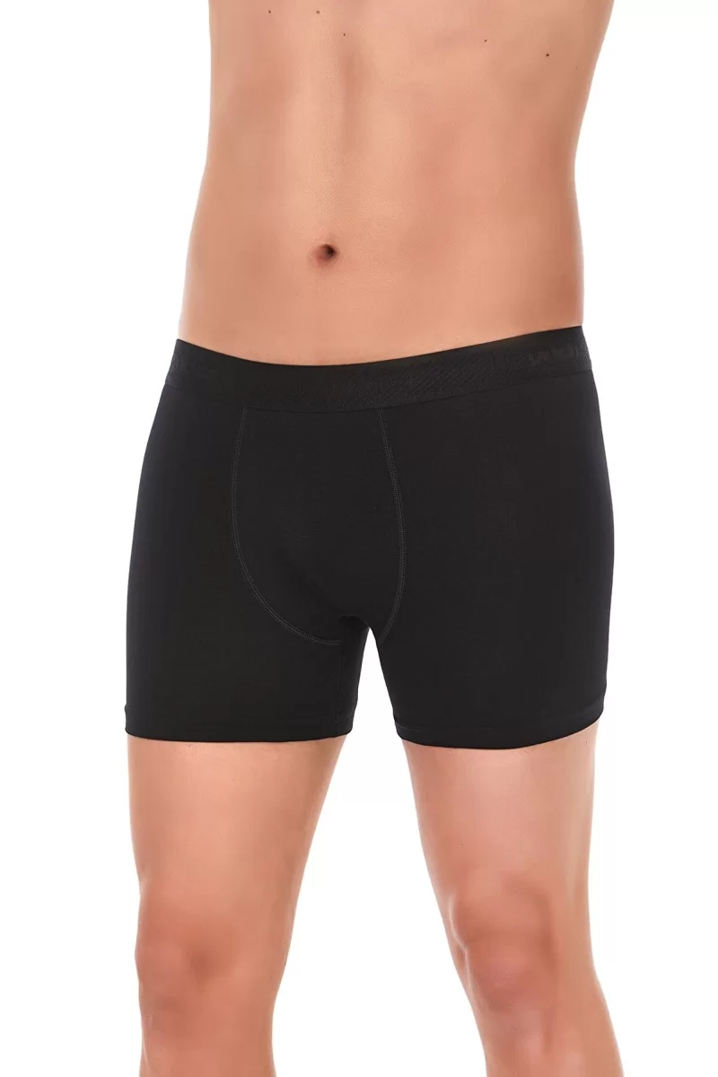 Star 103 Modal Boxer