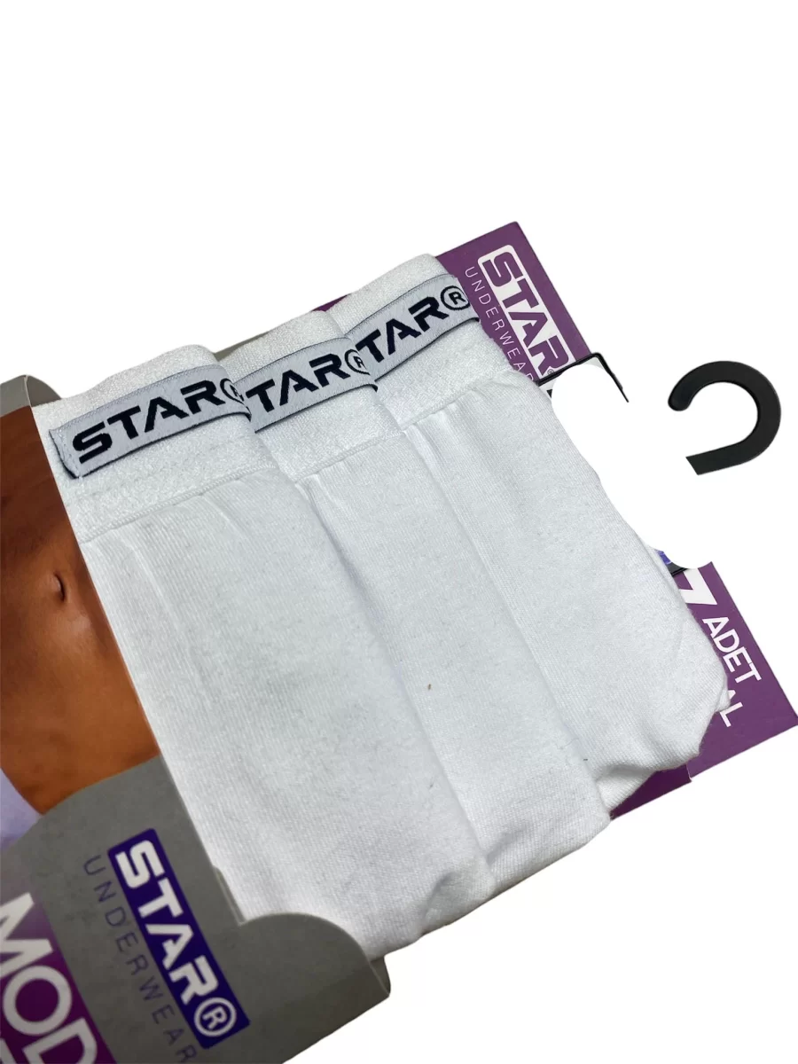 Star 109 Erkek  3'lü Modal Slip