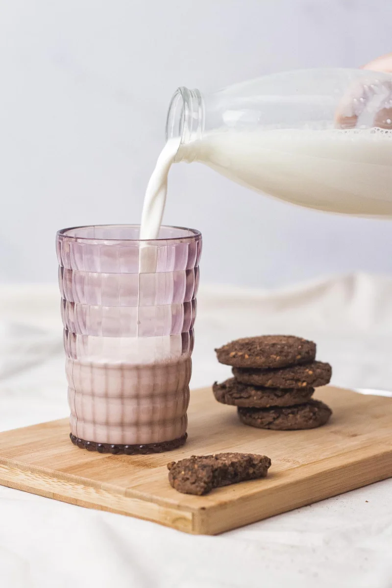Allegra Mürdüm Akrilik Bardak | 400 ml Şık Su ve Meşrubat Bardağı | Cam Değildir | Kırılmaya Dayanıklı Tekli
