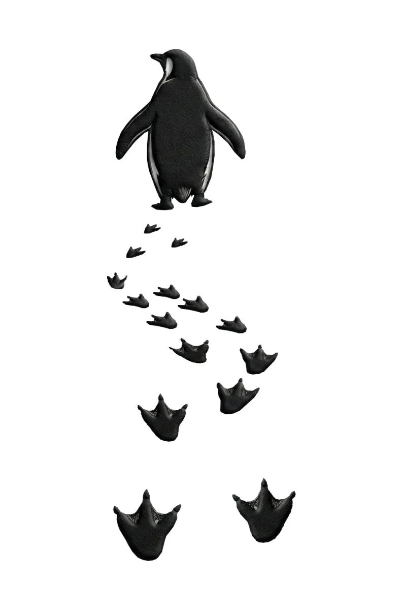 Kadın T-Shirt Nihilist Penguen Baskılı Bisiklet Yaka Kısa kol yazlık Tişört - Beyaz