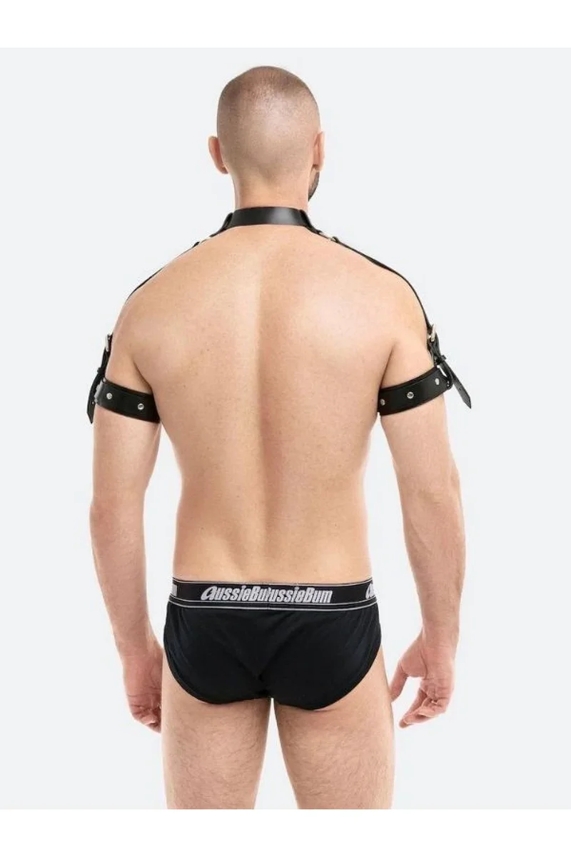 Erkek  Modeli