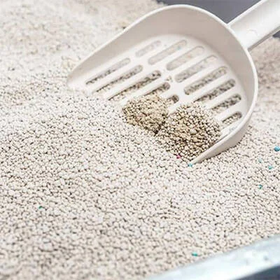Handy Jumbo Kedi Kum Küreği ve Kürek Taşıma Aparatı