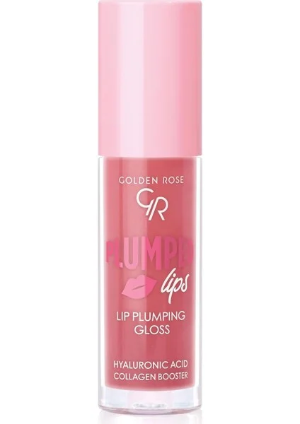 Plumped Lips Gloss NO:210