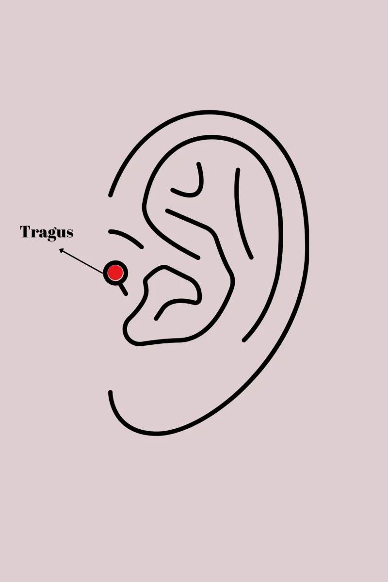 316L Çelik Gümüş Renk Mor Mineli Kalp Zirkon Taş Detay Tragus Piercing 5886
