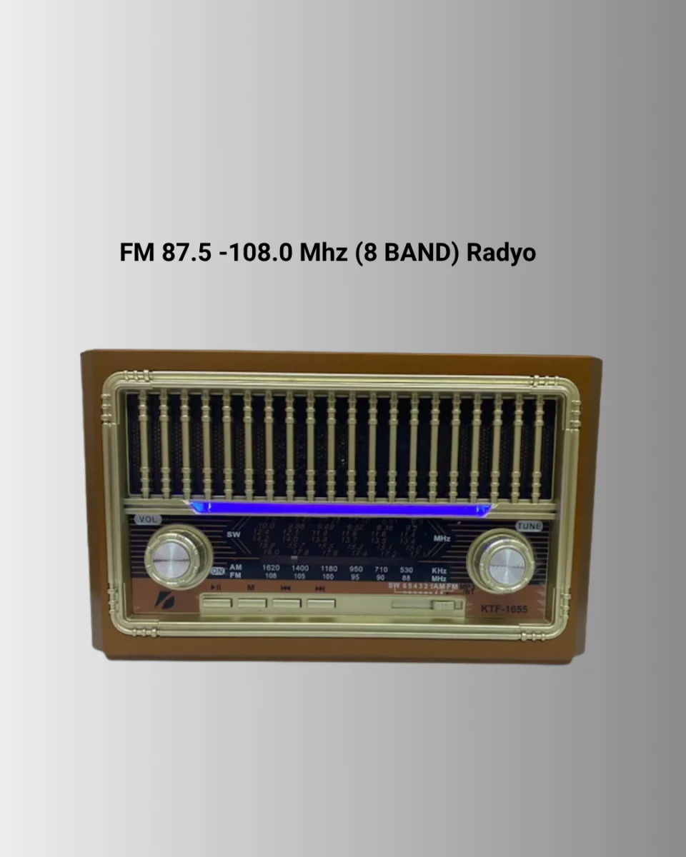 USB ve Hafıza Kart Girişli Radyo Hoparlör
