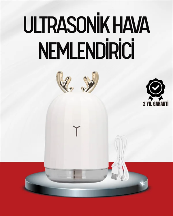 El Tipi USB Mini Soğuk Mist Nemlendirici 220 ml Tank