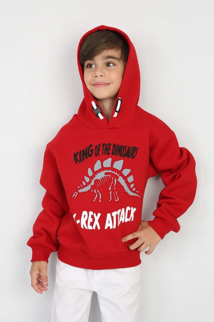 Üç İplik Şardonlu Baskılı Kapşonlu Erkek Çocuk Günlük Sweatshirt