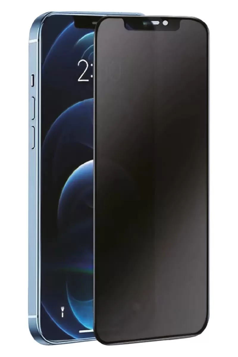 Newface Apple iPhone 16E 3D Antistatik Hayalet Cam Ekran Koruyucu