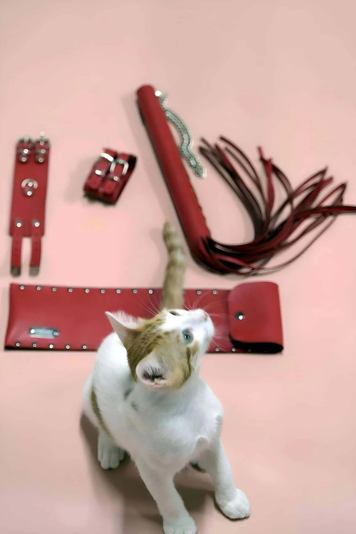 Kırbaç - Kelepçe Set, Kırbaç Takım, Fantezi Kelepçe Takım - Brf1304