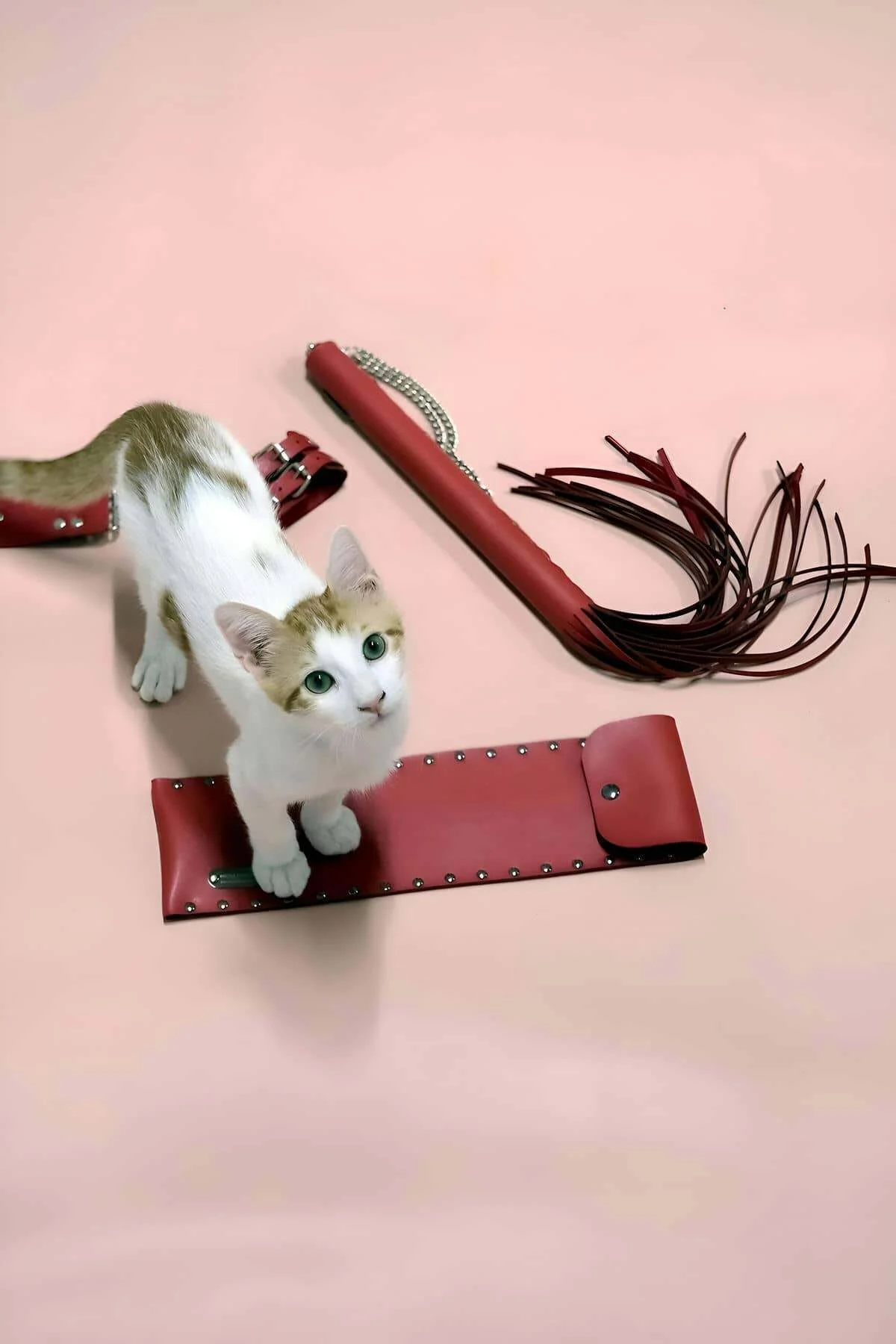 Kırbaç - Kelepçe Set, Kırbaç Takım, Fantezi Kelepçe Takım - Brf1304