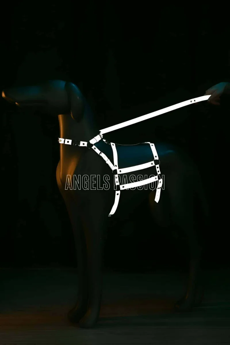 Reflektörlü - Ayarlanabilir Köpek Harness - Köpek Gezdirme Aparatı - Npd007