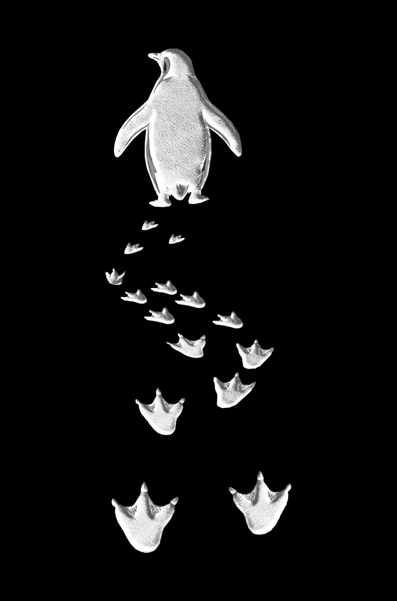 Kadın Nihilist Penguen Temalı Oversize Kapüşonlu Sweatshirt - Siyah