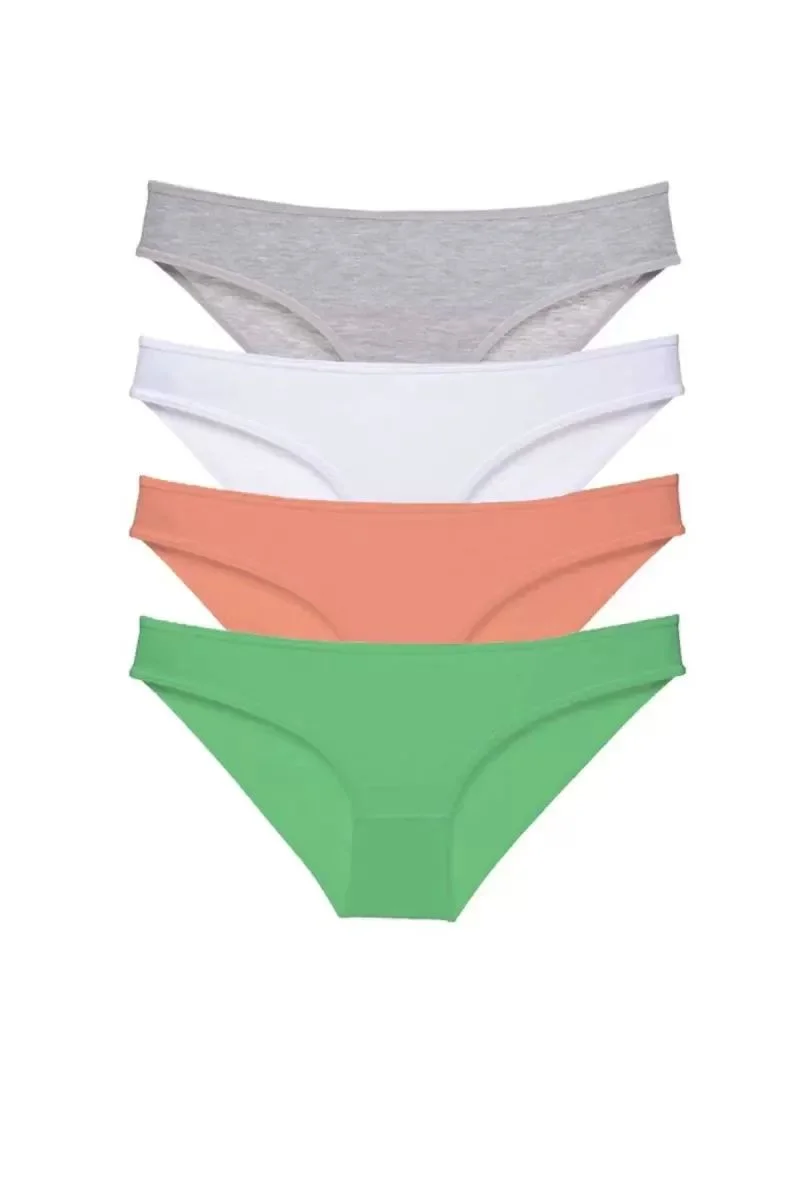 4 Adet Süper Eko Set Likralı Kadın Slip Külot Gri Beyaz Pudra Yeşil
