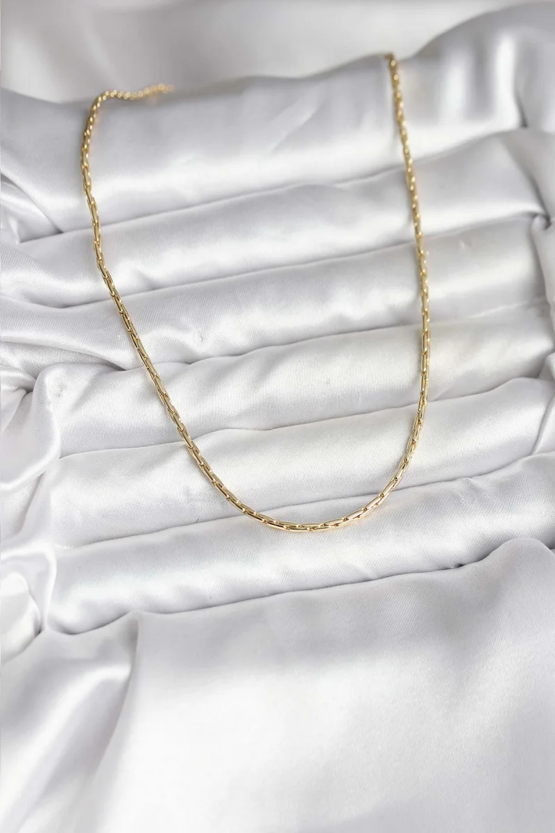 14K Gold Renk Kaplama İnce Zincir Model CM Kadın Kolye