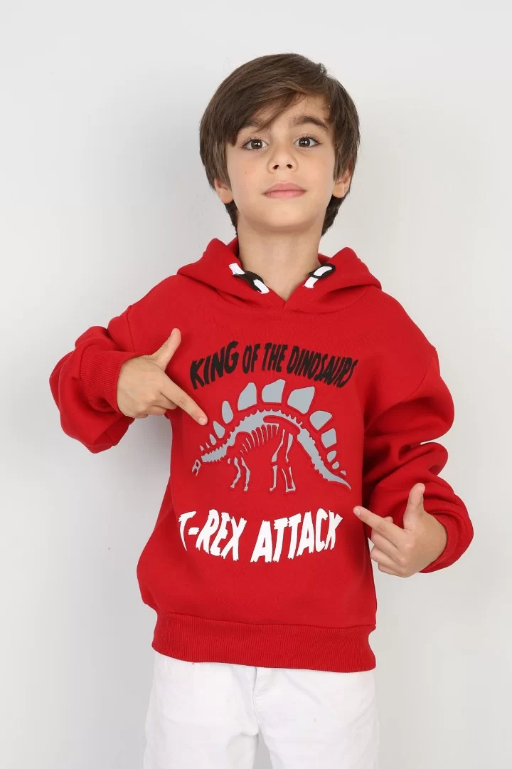 Üç İplik Şardonlu Baskılı Kapşonlu Erkek Çocuk Günlük Sweatshirt