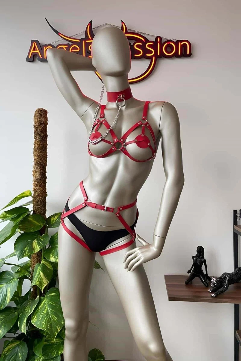 Kırmızı Deri Tasma Detaylı Şık Harness Takım