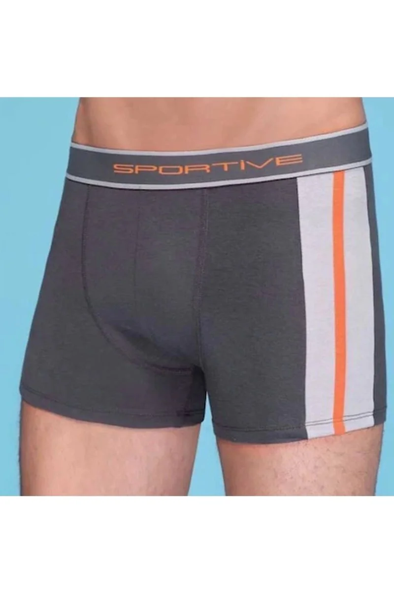 Erkek  Modal Boxer 1080