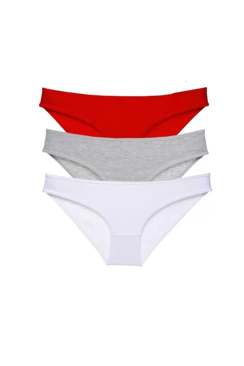 3 Adet Süper Eko Set Likralı Kadın Slip Külot 542